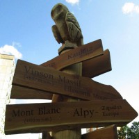 /album/fotogaleria-projekt-maly-les-vo-velkom-meste/img-0995-upr-jpg2/